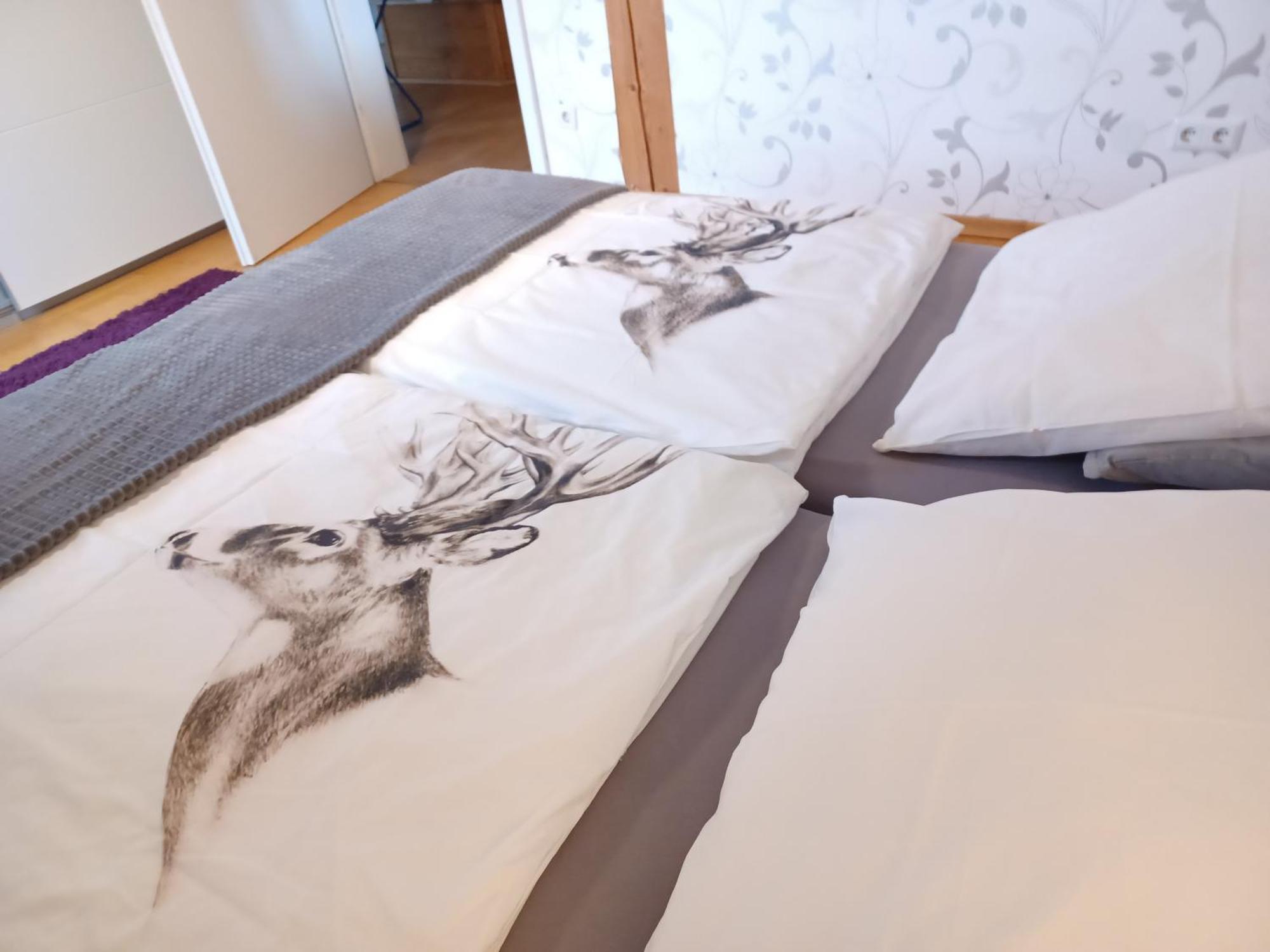 Frielendorf Ferienwohnung Am Sendberg מראה חיצוני תמונה